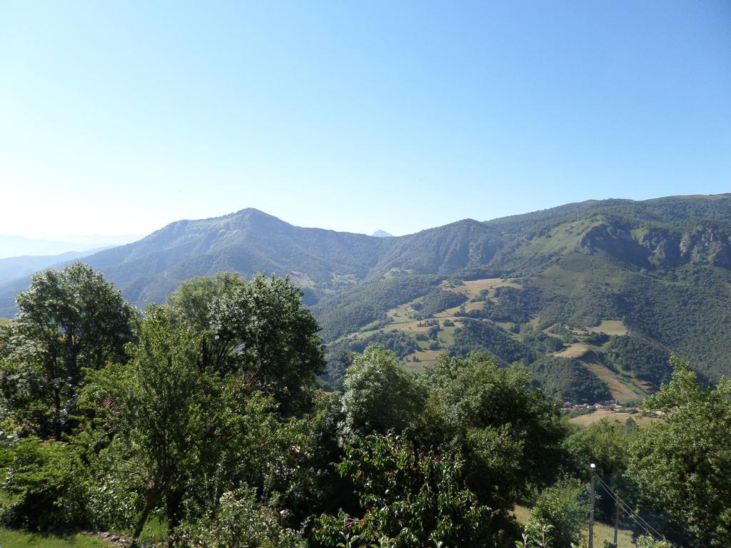 Apartamentos Rurales Las Rocas De Brez Camaleño Buitenkant foto
